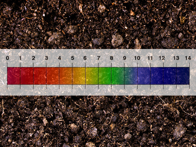 Increasing Soil pH